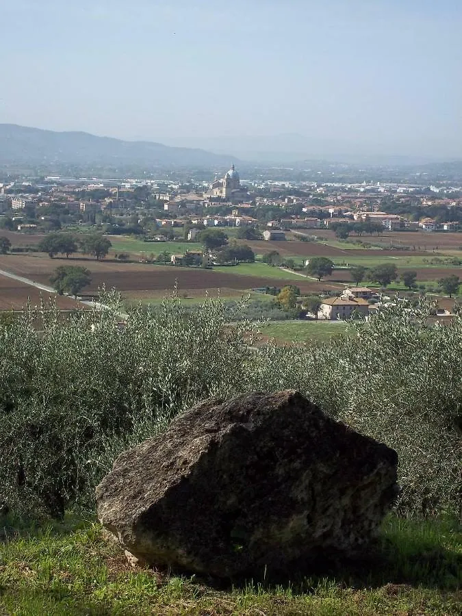 Villa Casa per Ferie Ulivo d'Assisi Alloggio per agriturismo